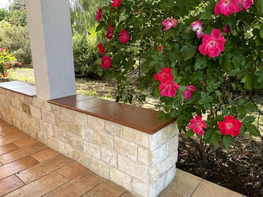 卡萨诺德莱穆尔杰Rose Country别墅 外观 照片